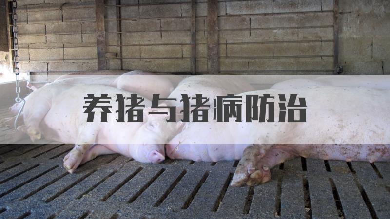 课程 - 国家高等教育智慧教育平台