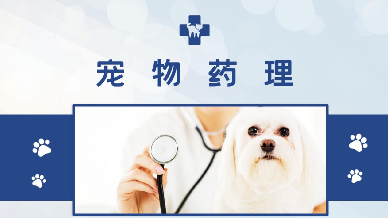国家高等教育智慧教育平台 国家高等教育智慧教育平台