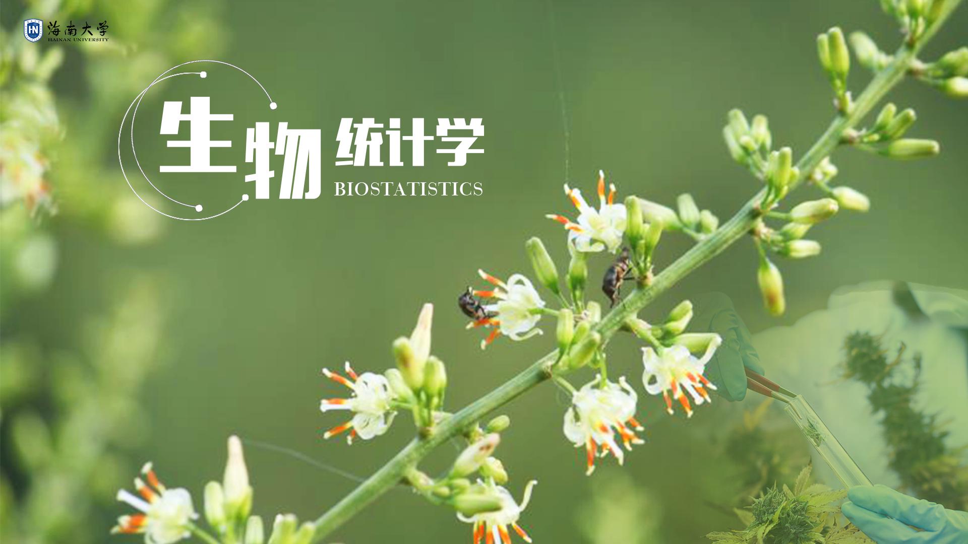 课程 - 国家高等教育智慧教育平台