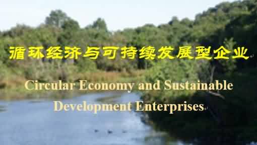 循环经济与可持续发展型企业