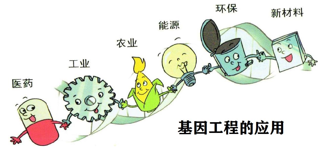 基因工程的应用.png