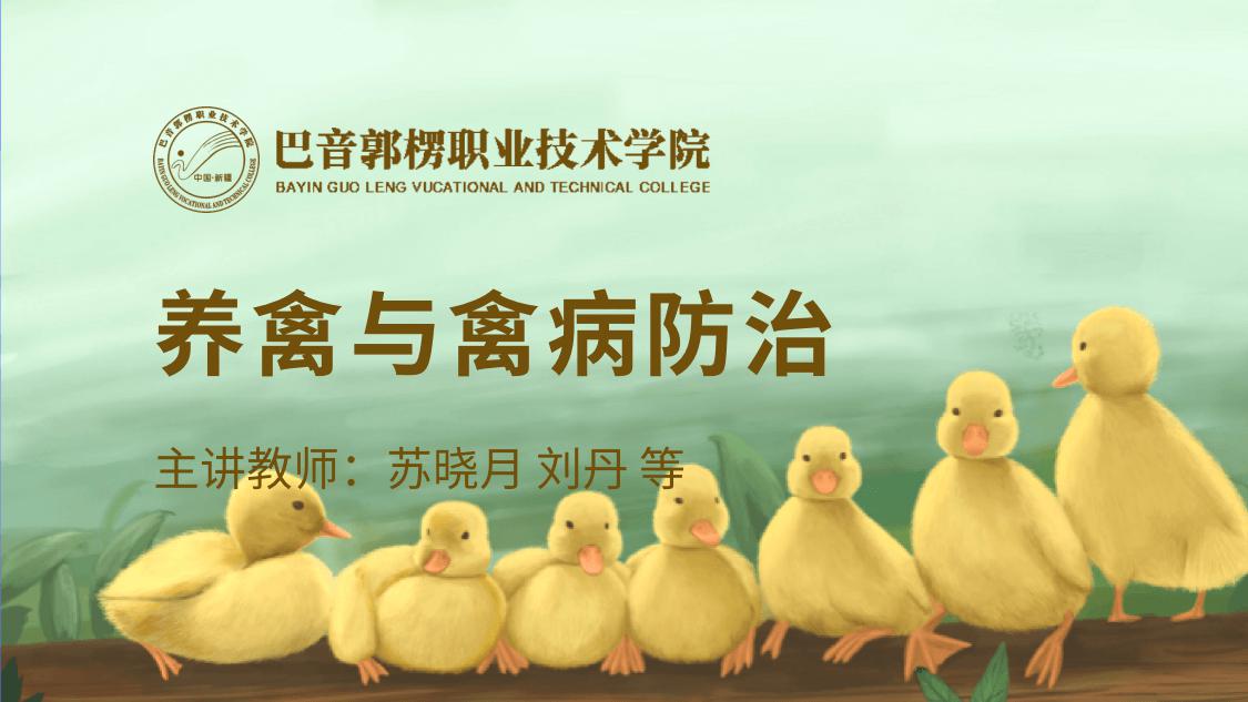 国家高等教育智慧教育平台