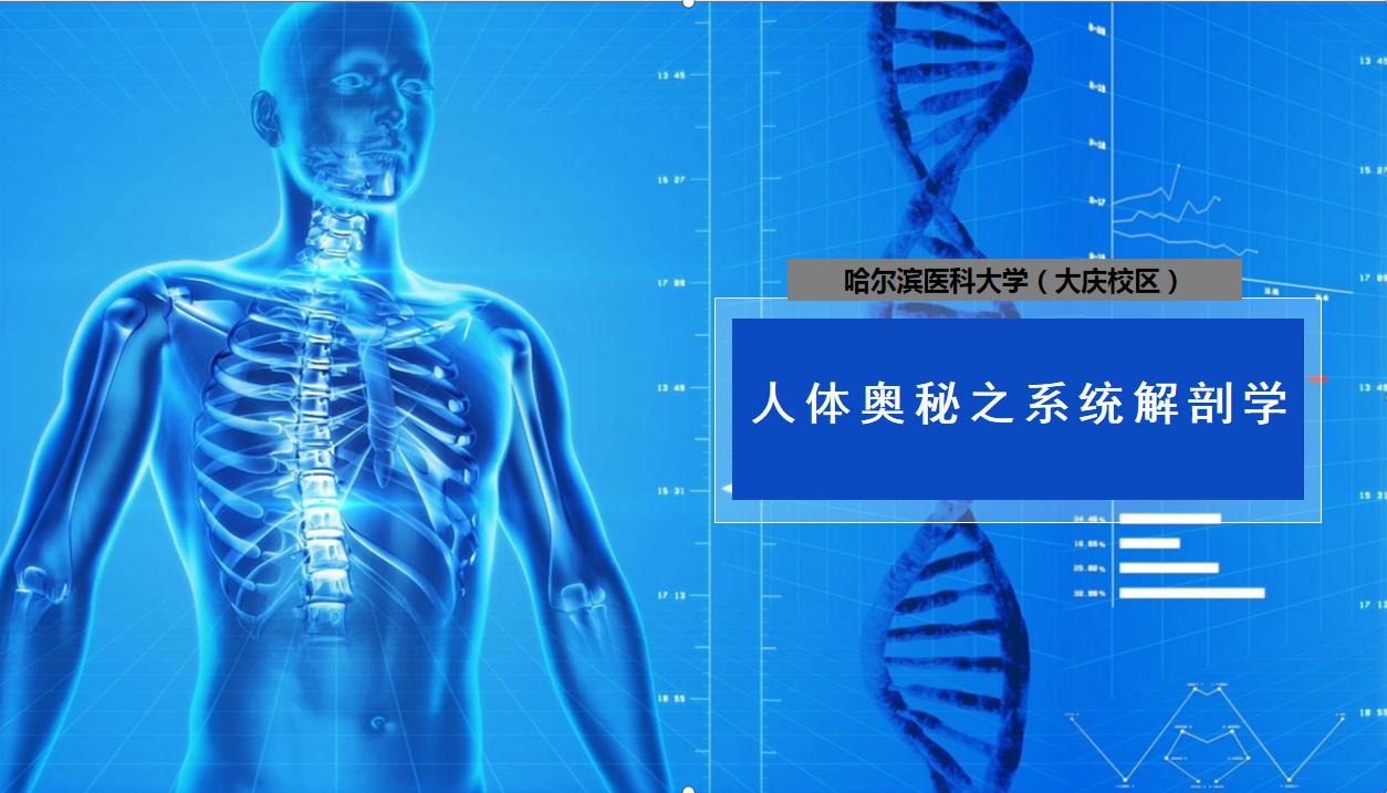 新しい 【セル版】死体解剖医ヤーノシュ(´95独) DVD