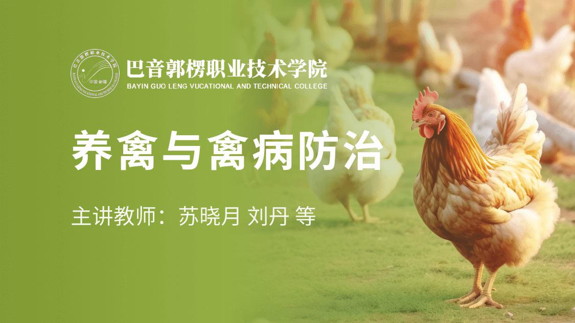 课程 - 国家高等教育智慧教育平台