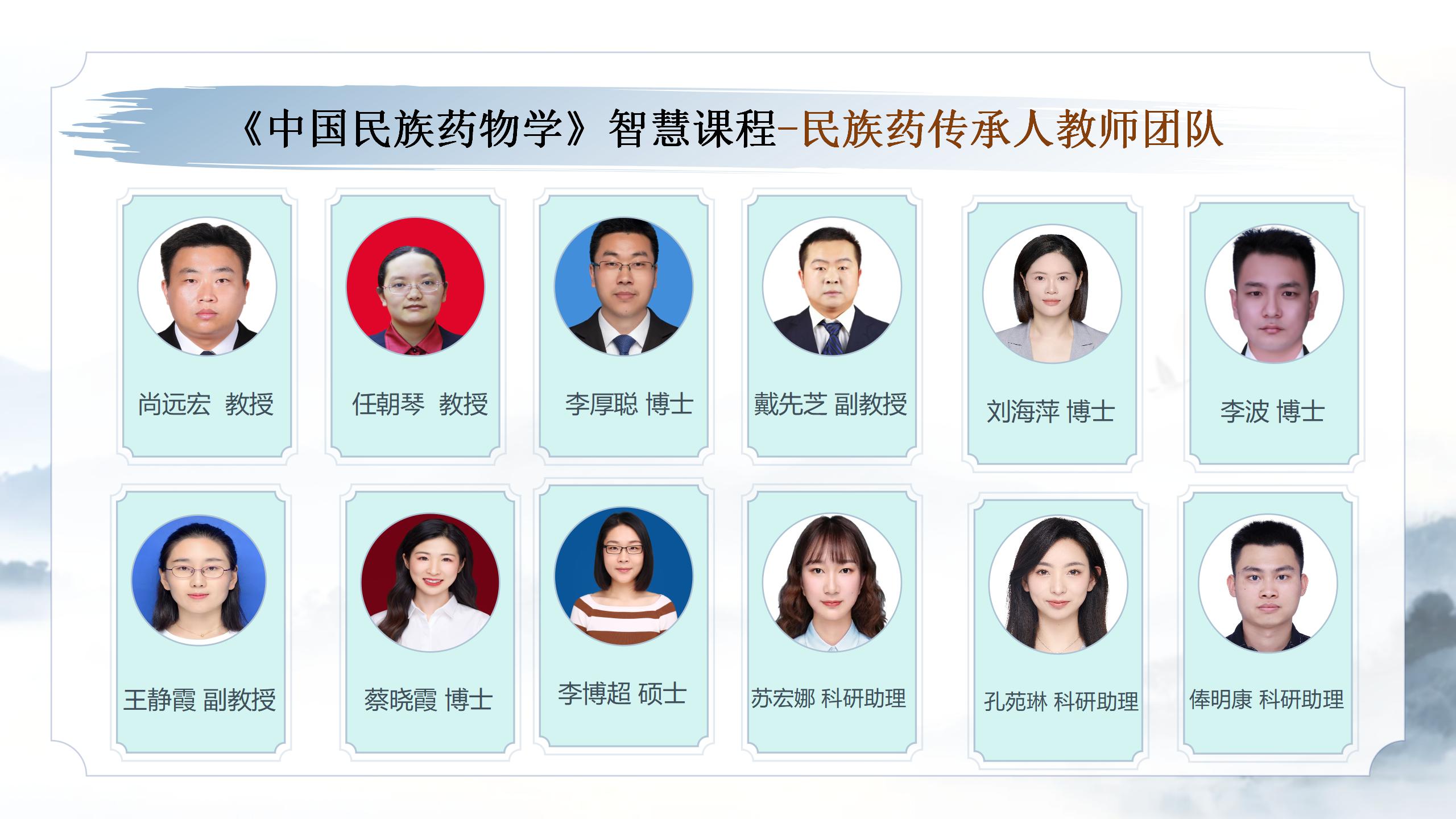 654abb7c13271fd12743fac42b3e0ebf (3)民族药传承人教师团队_01.png
