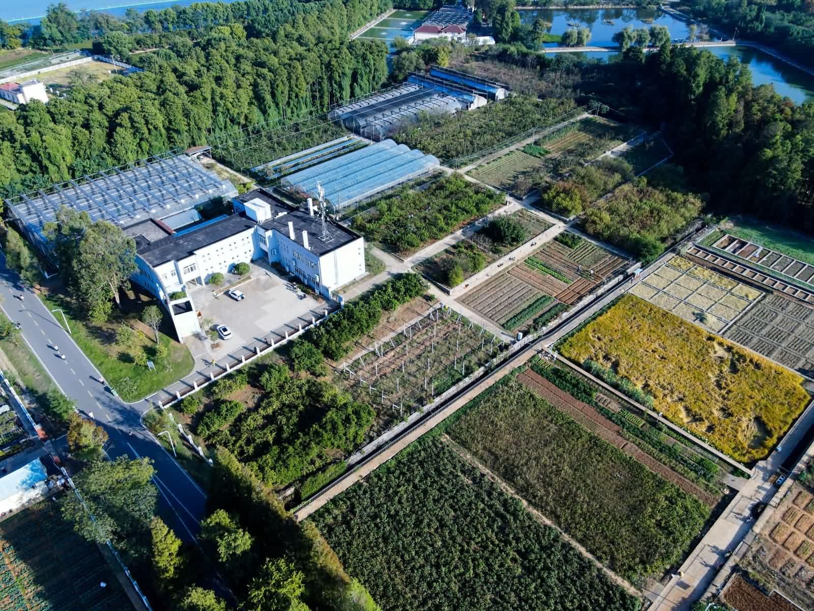 华中农业大学图片2